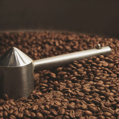 Freshly Roasted Coffee: Why It Makes All the Difference